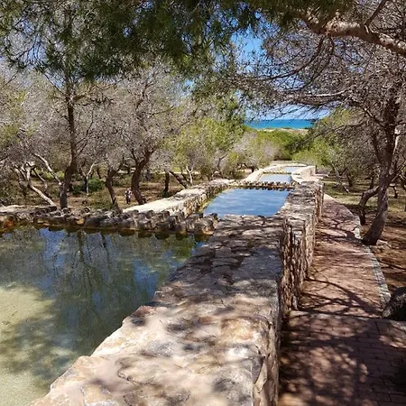 Апартаменты Torrevieja, La Mata 1 Bedroom *